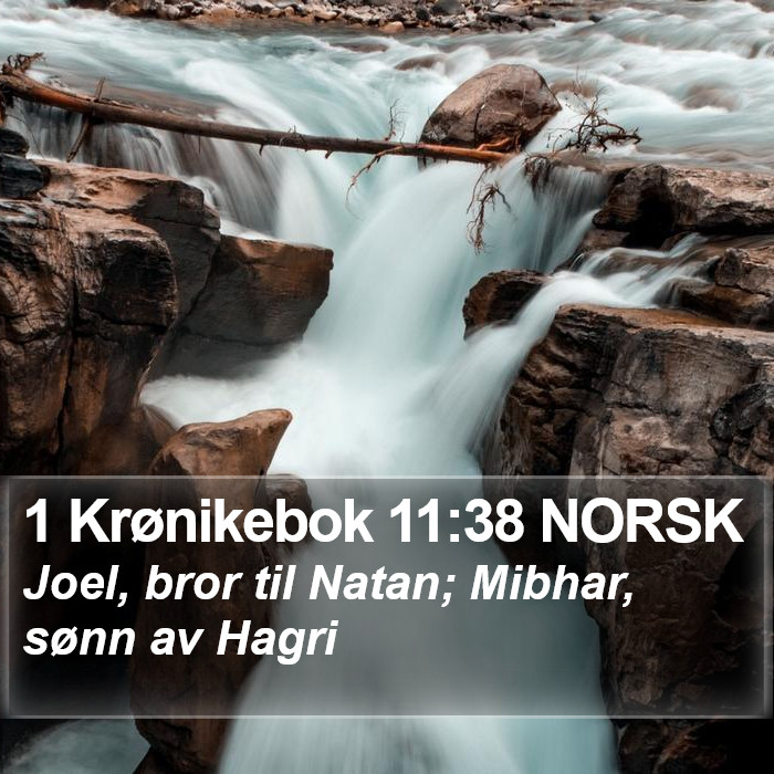 1 Krønikebok 11:38 NORSK Bible Study