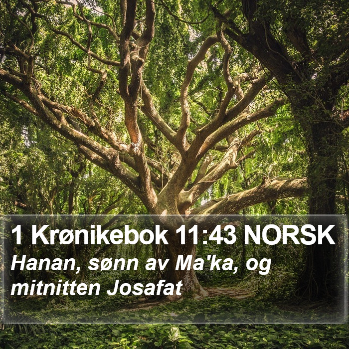 1 Krønikebok 11:43 NORSK Bible Study