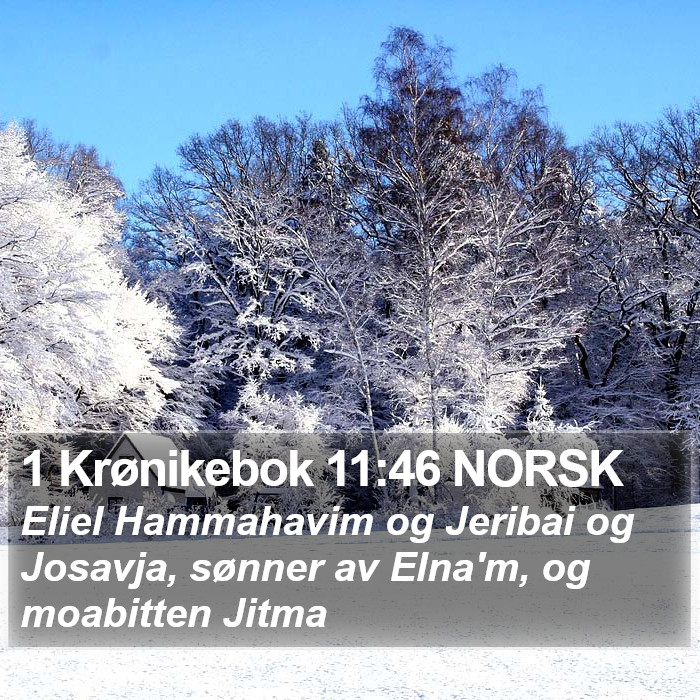 1 Krønikebok 11:46 NORSK Bible Study