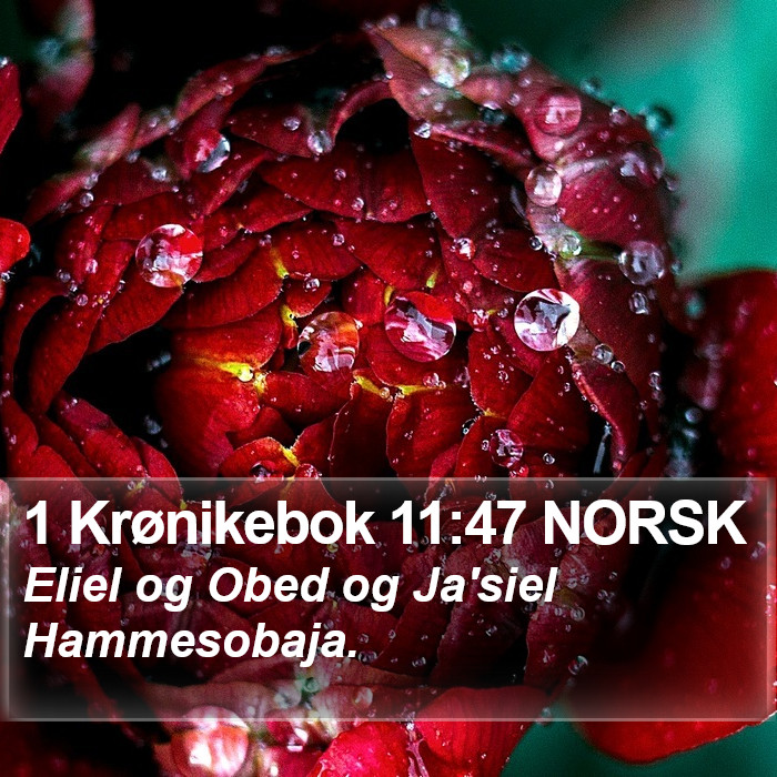 1 Krønikebok 11:47 NORSK Bible Study
