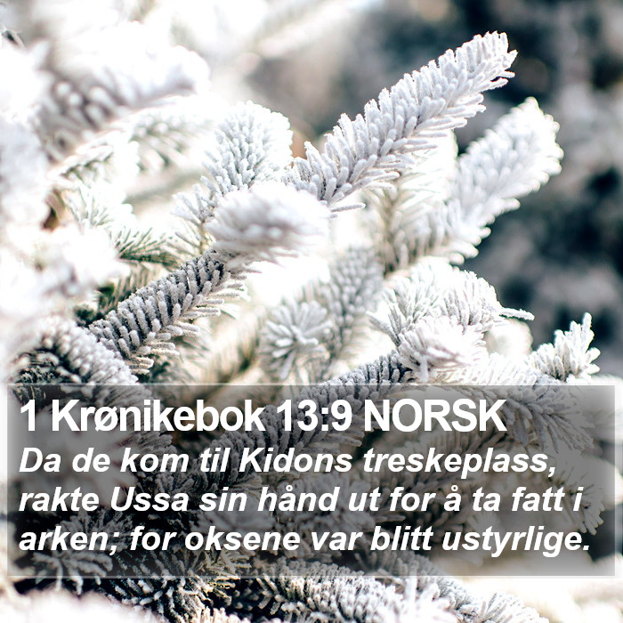 1 Krønikebok 13:9 NORSK Bible Study