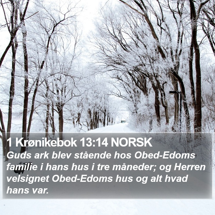 1 Krønikebok 13:14 NORSK Bible Study