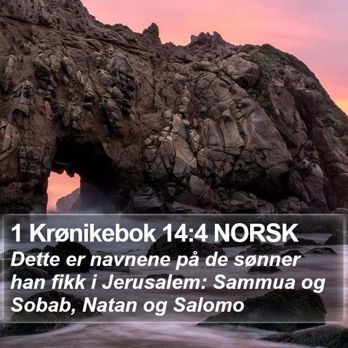1 Krønikebok 14:4 NORSK Bible Study