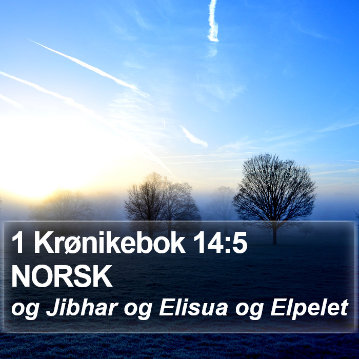 1 Krønikebok 14:5 NORSK Bible Study