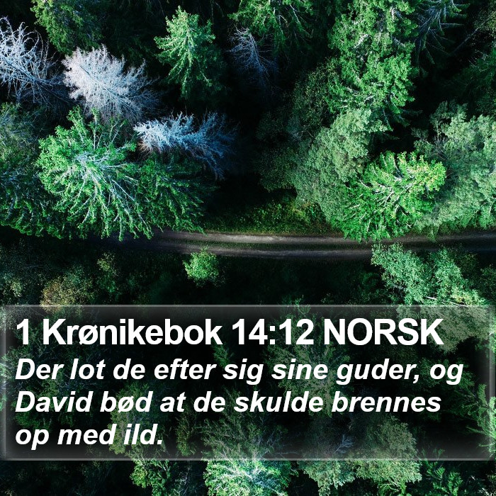 1 Krønikebok 14:12 NORSK Bible Study