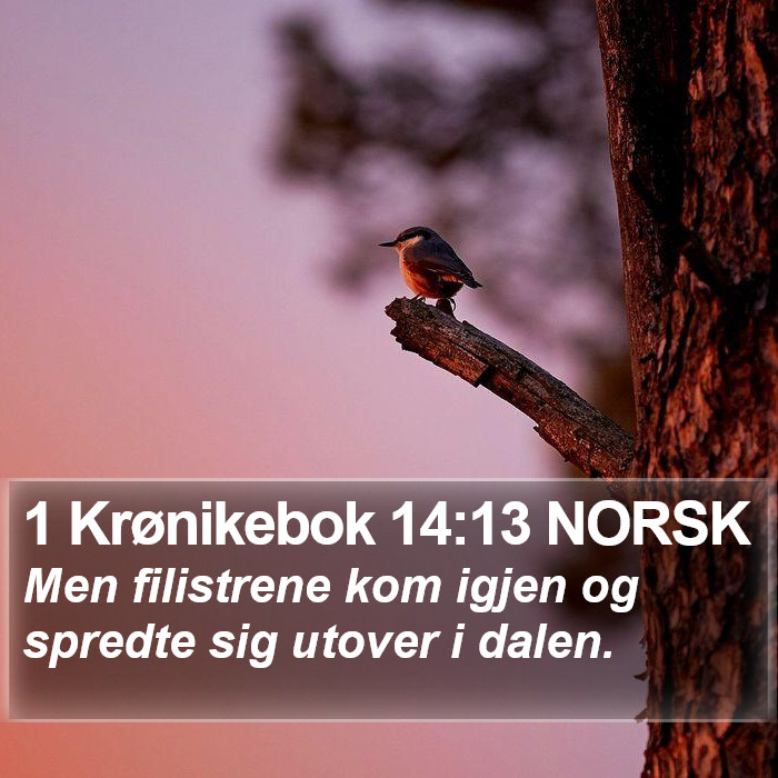 1 Krønikebok 14:13 NORSK Bible Study