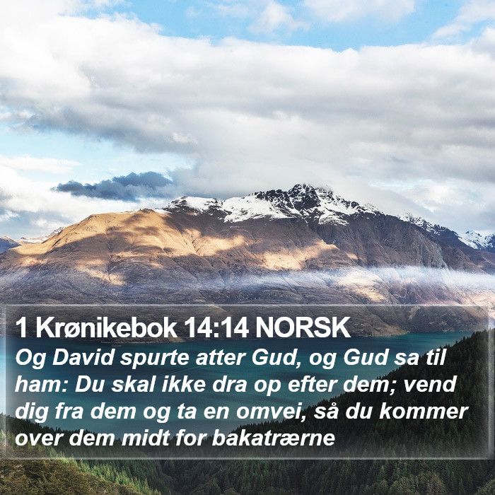 1 Krønikebok 14:14 NORSK Bible Study