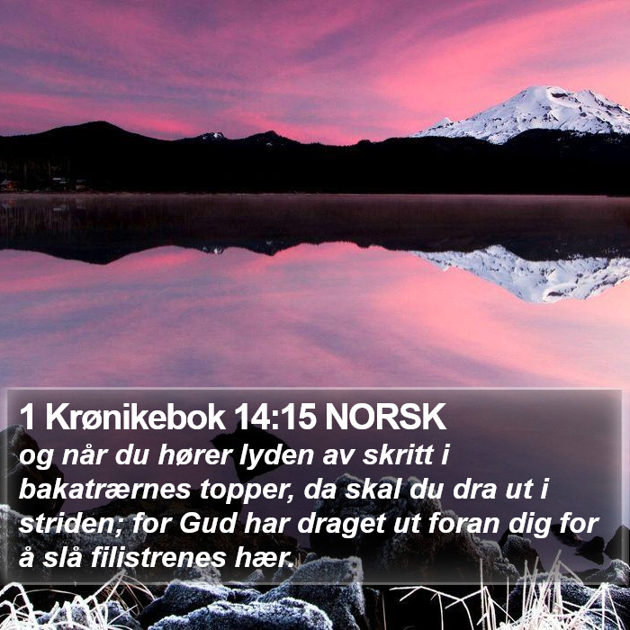 1 Krønikebok 14:15 NORSK Bible Study
