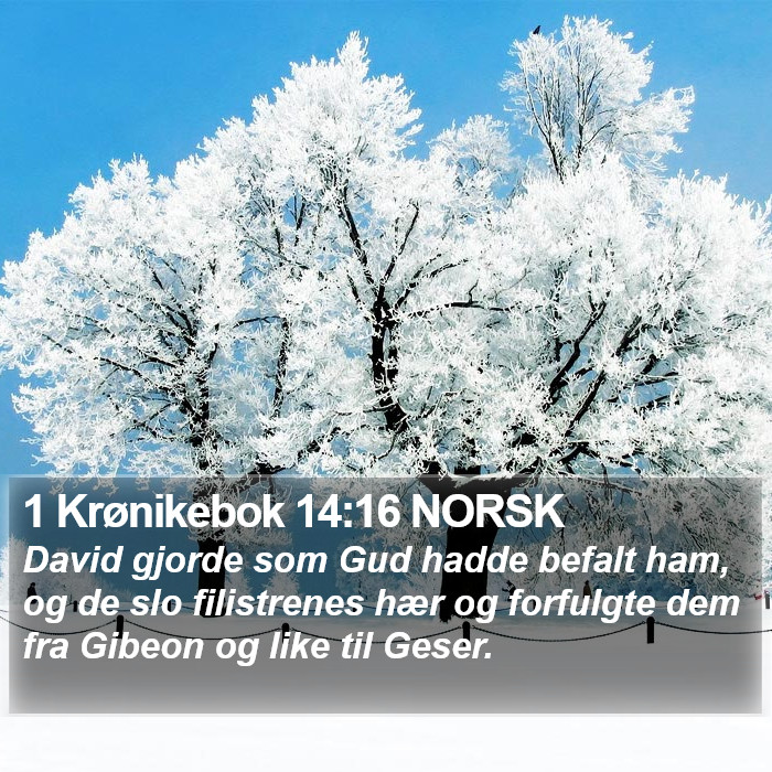 1 Krønikebok 14:16 NORSK Bible Study