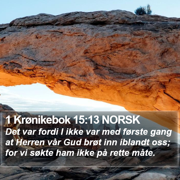 1 Krønikebok 15:13 NORSK Bible Study