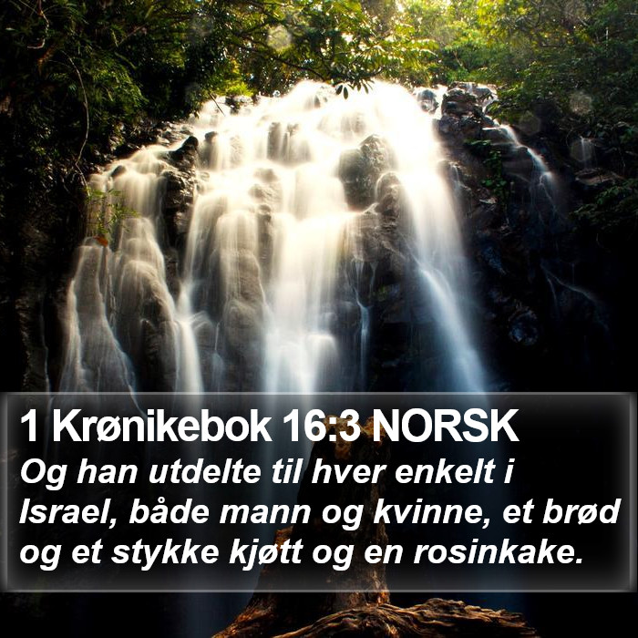 1 Krønikebok 16:3 NORSK Bible Study
