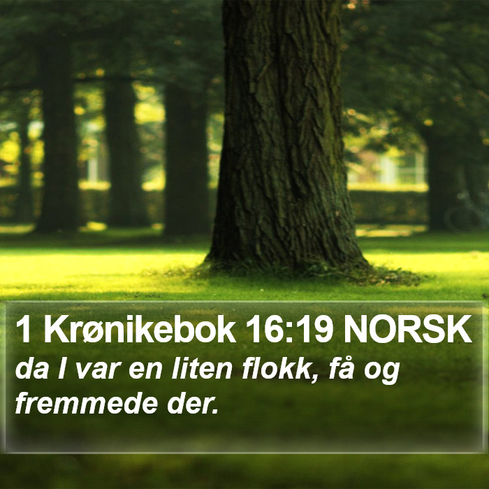 1 Krønikebok 16:19 NORSK Bible Study