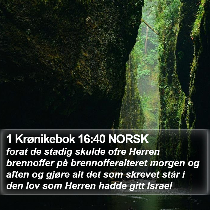 1 Krønikebok 16:40 NORSK Bible Study