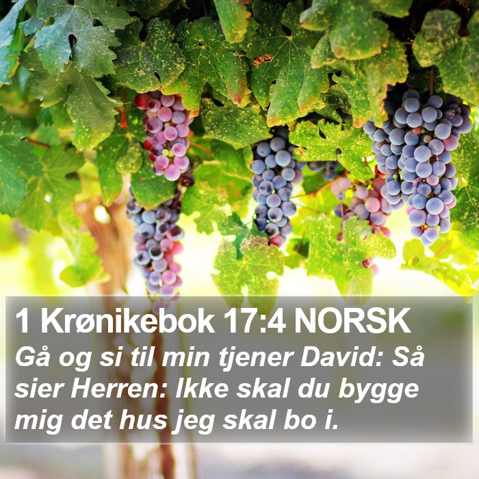 1 Krønikebok 17:4 NORSK Bible Study