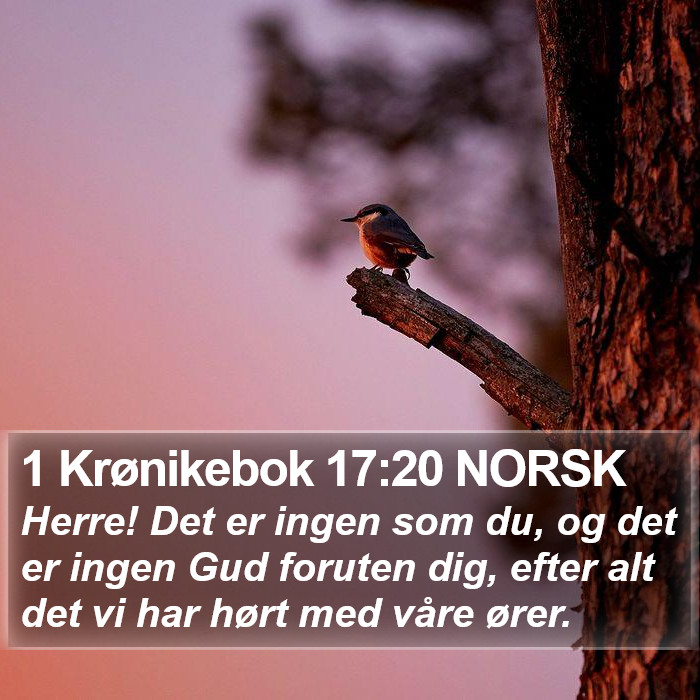 1 Krønikebok 17:20 NORSK Bible Study