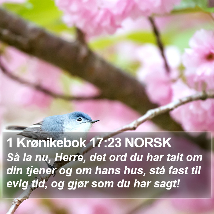 1 Krønikebok 17:23 NORSK Bible Study