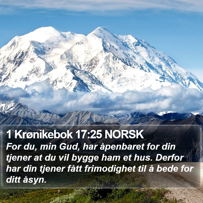 1 Krønikebok 17:25 NORSK Bible Study