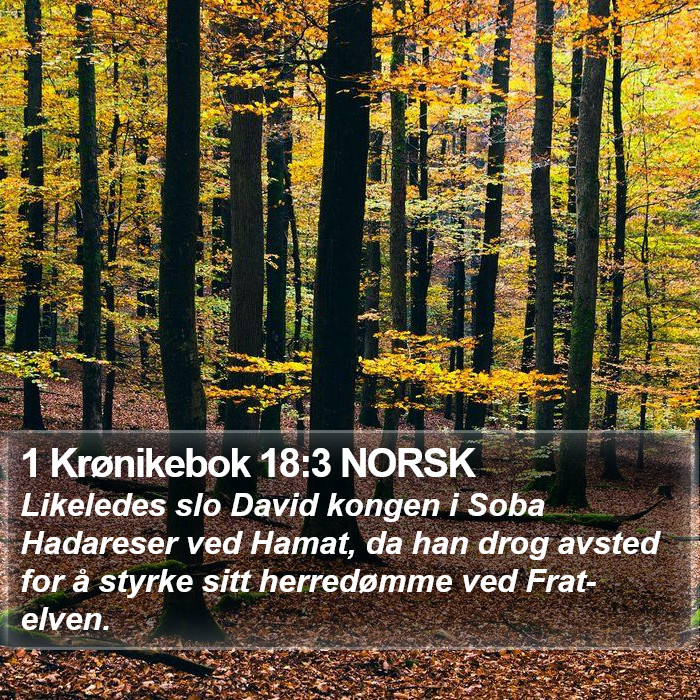 1 Krønikebok 18:3 NORSK Bible Study