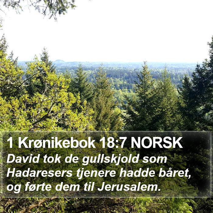1 Krønikebok 18:7 NORSK Bible Study