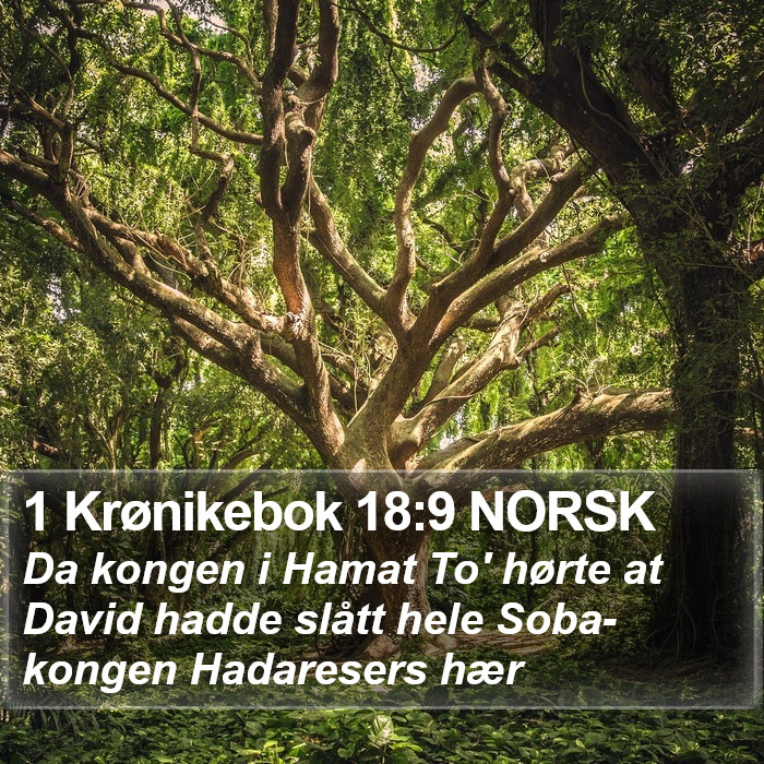 1 Krønikebok 18:9 NORSK Bible Study