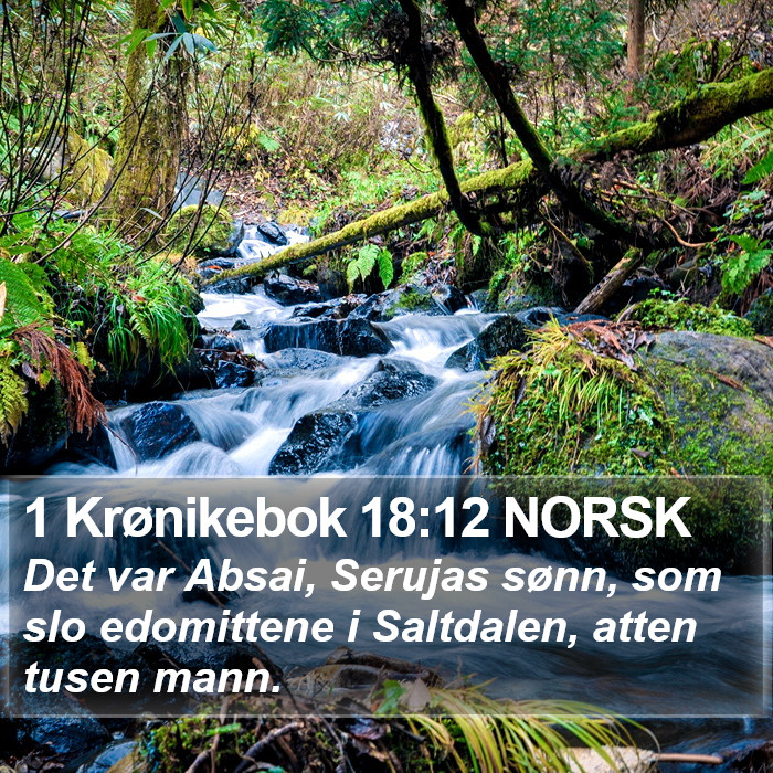 1 Krønikebok 18:12 NORSK Bible Study