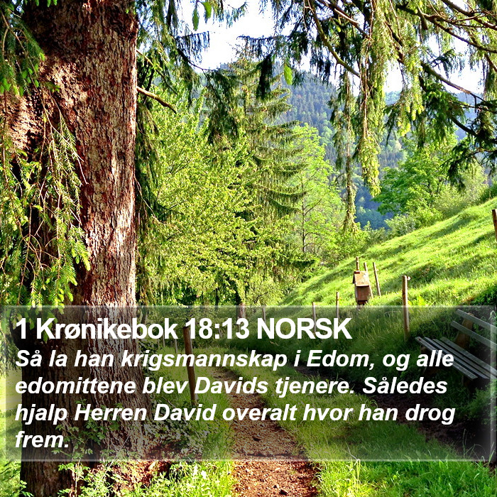 1 Krønikebok 18:13 NORSK Bible Study