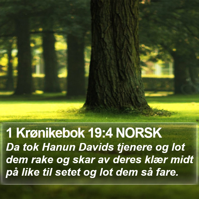 1 Krønikebok 19:4 NORSK Bible Study