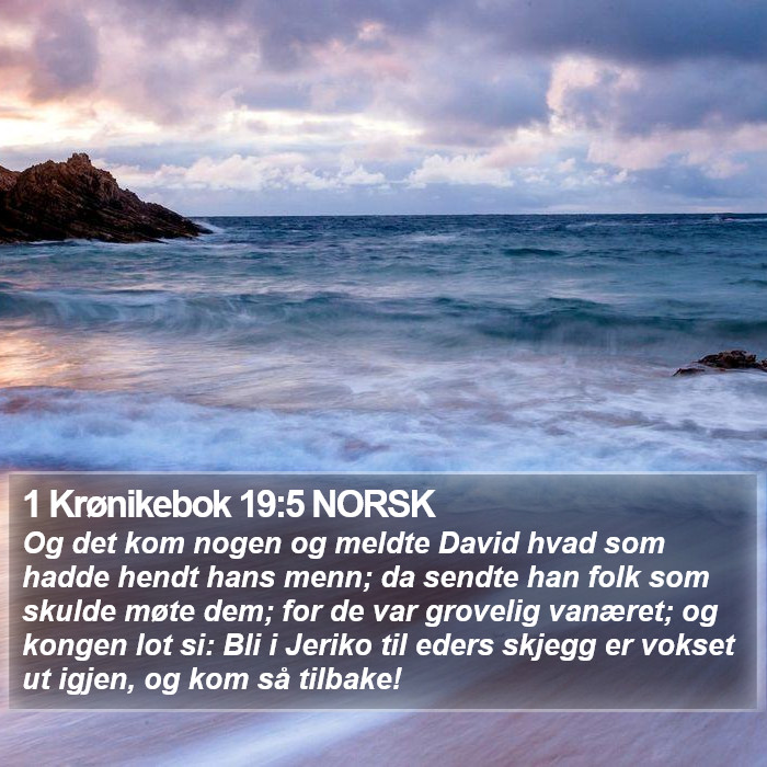 1 Krønikebok 19:5 NORSK Bible Study