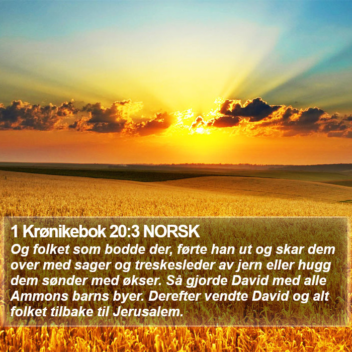 1 Krønikebok 20:3 NORSK Bible Study