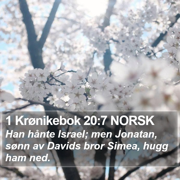 1 Krønikebok 20:7 NORSK Bible Study