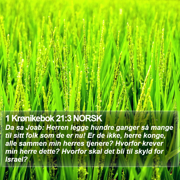 1 Krønikebok 21:3 NORSK Bible Study