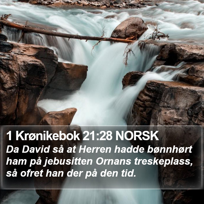 1 Krønikebok 21:28 NORSK Bible Study