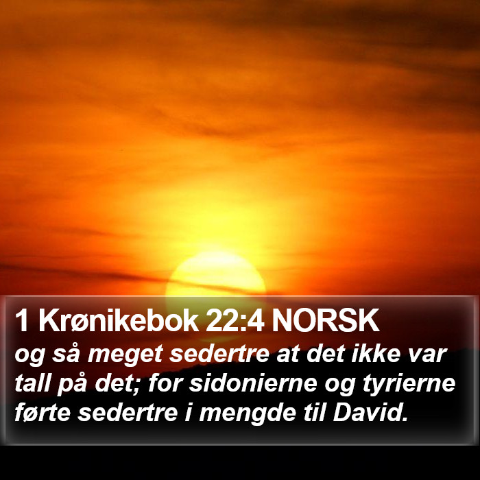 1 Krønikebok 22:4 NORSK Bible Study