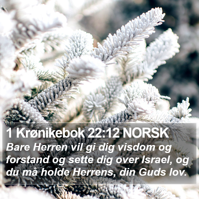 1 Krønikebok 22:12 NORSK Bible Study