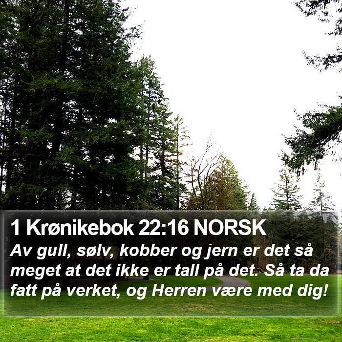 1 Krønikebok 22:16 NORSK Bible Study