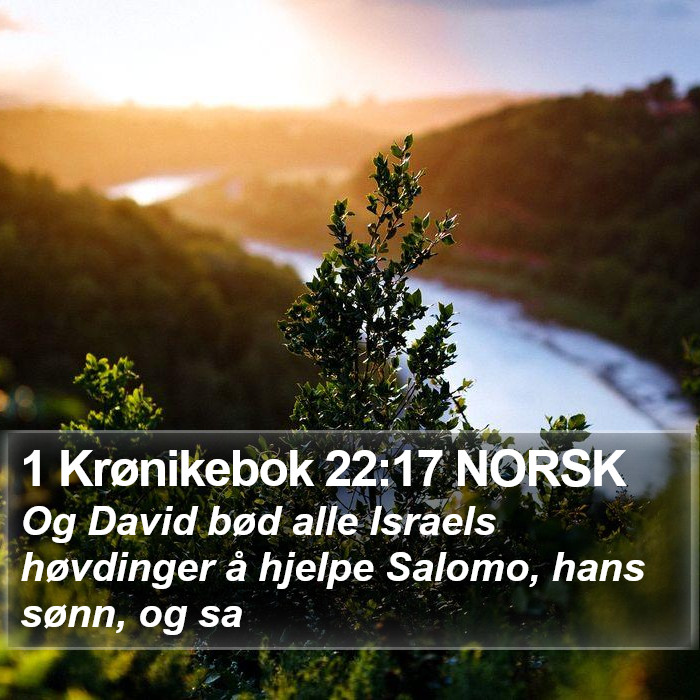 1 Krønikebok 22:17 NORSK Bible Study