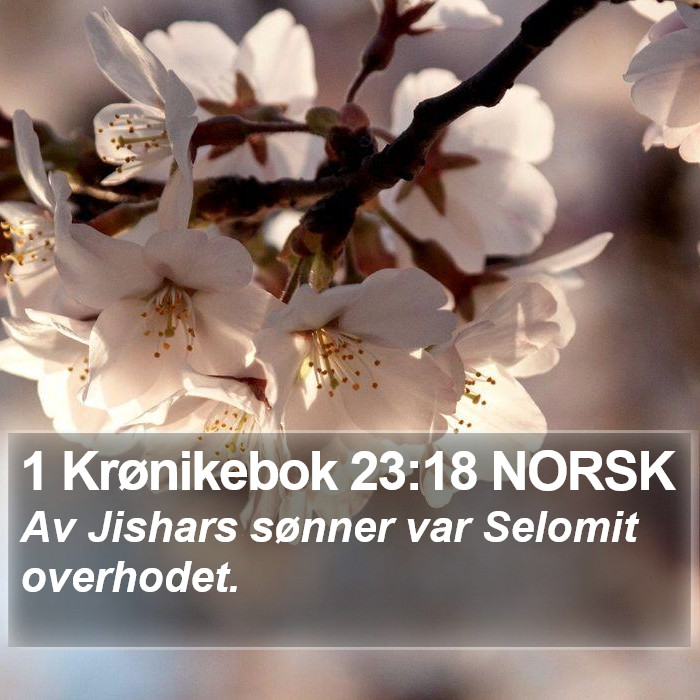 1 Krønikebok 23:18 NORSK Bible Study