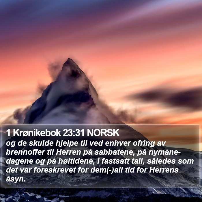 1 Krønikebok 23:31 NORSK Bible Study