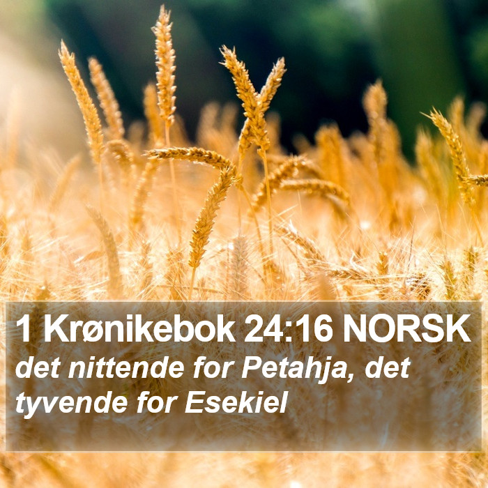 1 Krønikebok 24:16 NORSK Bible Study