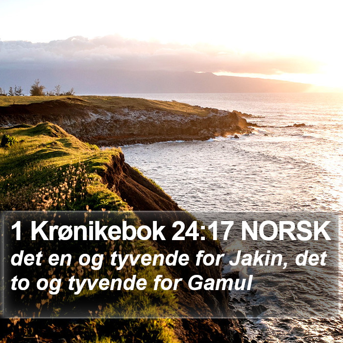 1 Krønikebok 24:17 NORSK Bible Study
