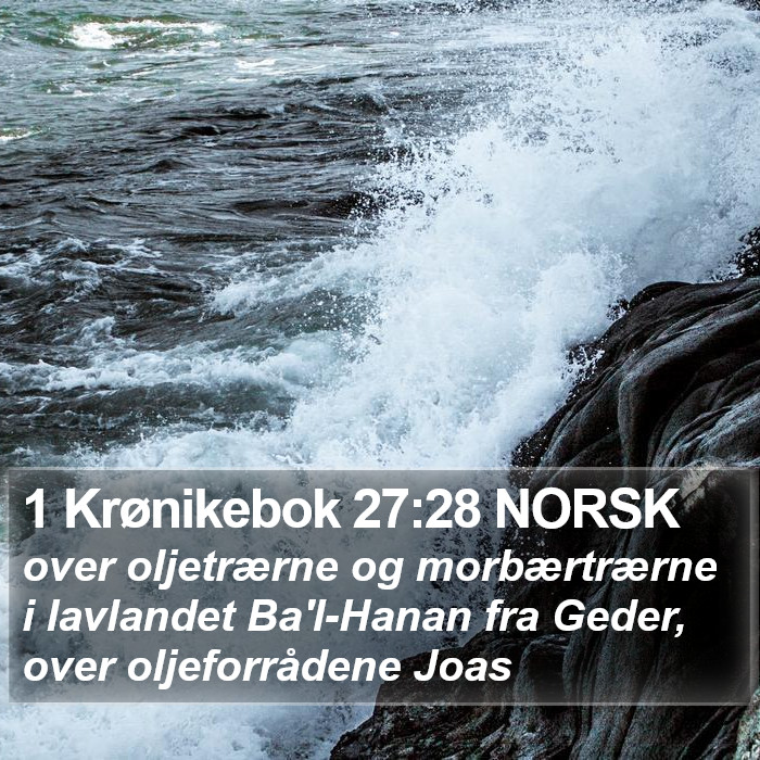 1 Krønikebok 27:28 NORSK Bible Study