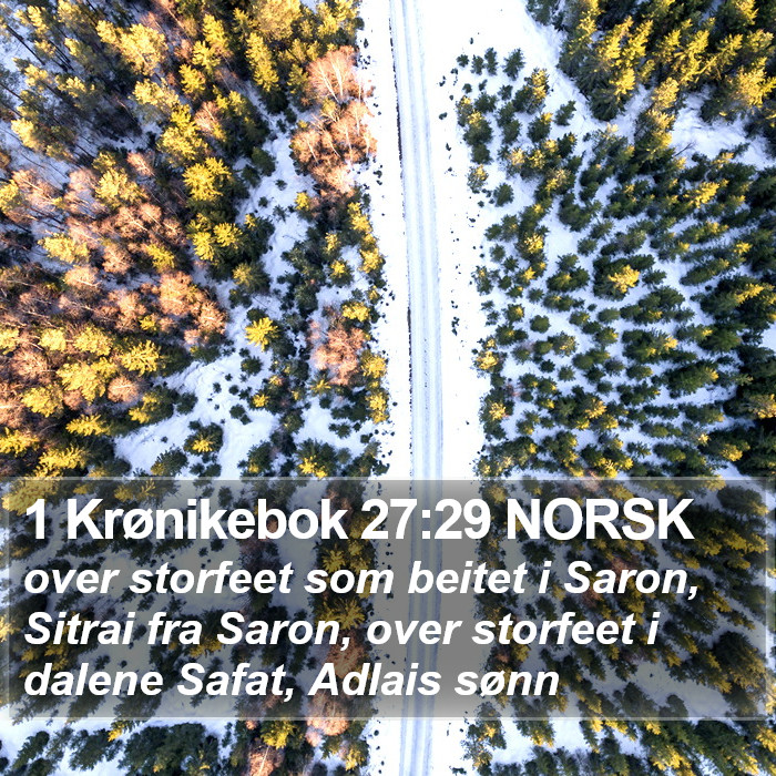 1 Krønikebok 27:29 NORSK Bible Study