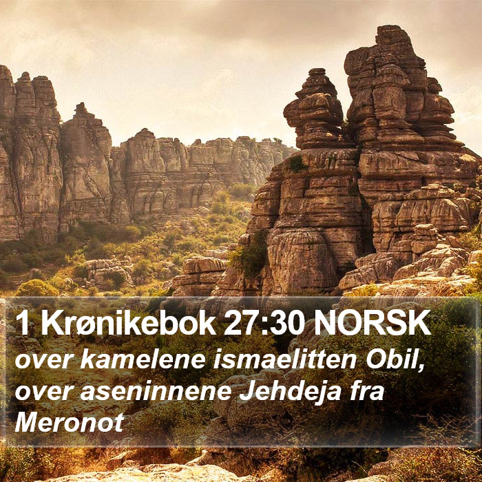 1 Krønikebok 27:30 NORSK Bible Study