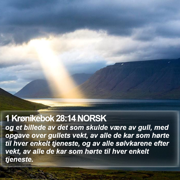 1 Krønikebok 28:14 NORSK Bible Study