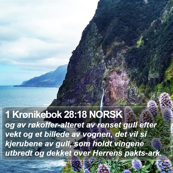1 Krønikebok 28:18 NORSK Bible Study