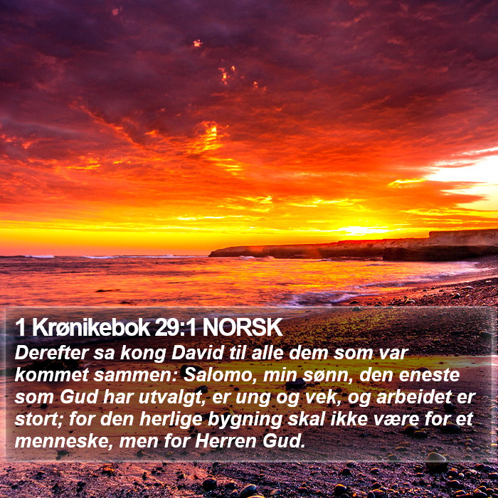 1 Krønikebok 29:1 NORSK Bible Study