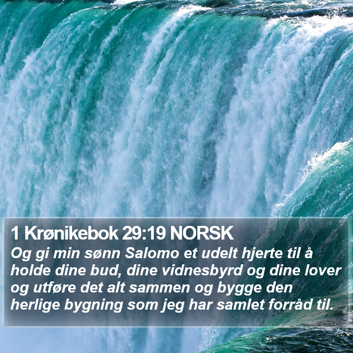 1 Krønikebok 29:19 NORSK Bible Study