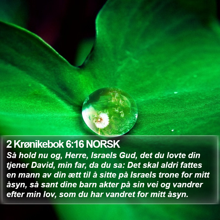 2 Krønikebok 6:16 NORSK Bible Study