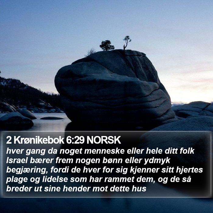 2 Krønikebok 6:29 NORSK Bible Study