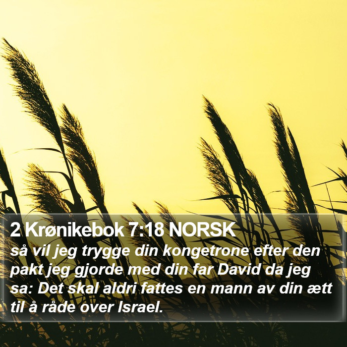 2 Krønikebok 7:18 NORSK Bible Study